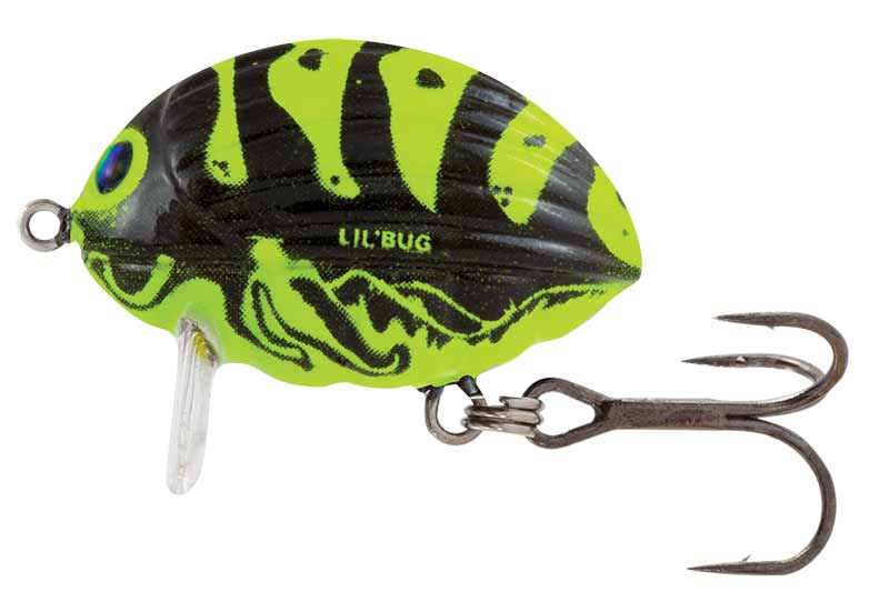 SALMO LIL BUG WASP FROM PREDATOR TACKLE.jpg Salmo Lil Bug 3cm